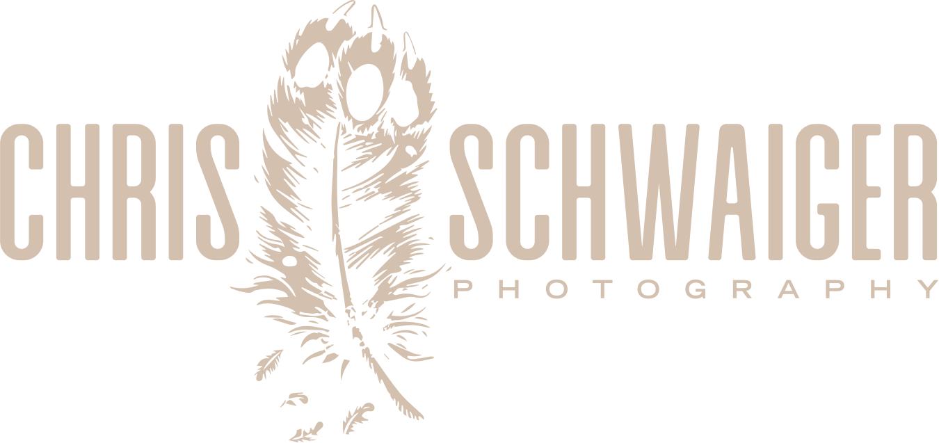 Chris Schwaiger Photography Logo — Österreichischer Wildtierfotograf